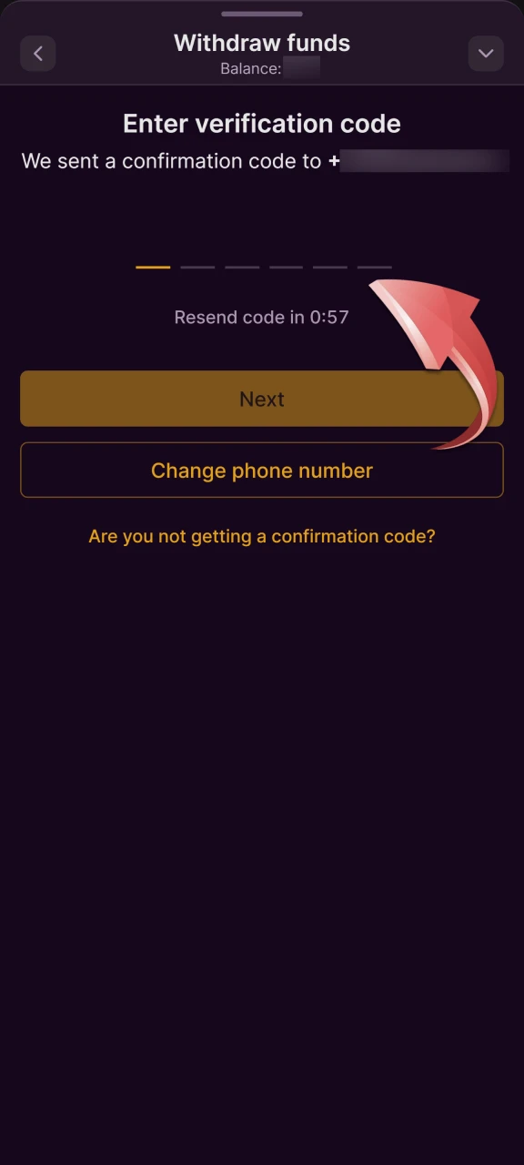 Enter the code that was sent to your phone to continue.